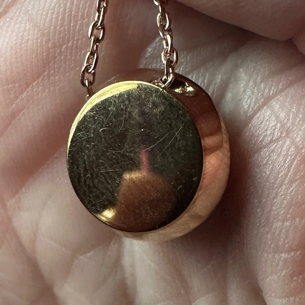 Michael Kors Gold Logo Pavé Circle Pendant Necklace - Picture 5 of 6